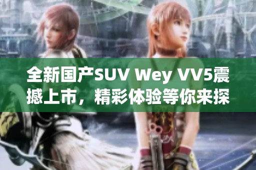 全新国产SUV Wey VV5震撼上市，精彩体验等你来探索