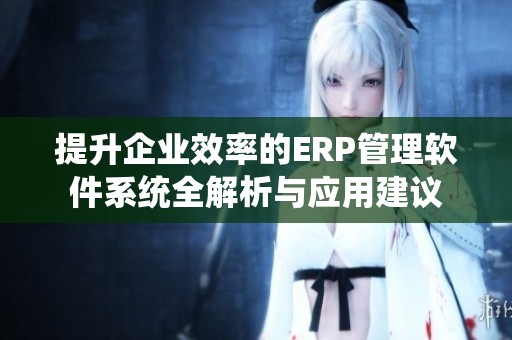 提升企业效率的ERP管理软件系统全解析与应用建议