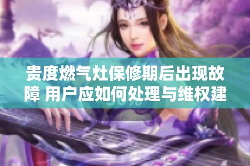 贵度燃气灶保修期后出现故障 用户应如何处理与维权建议