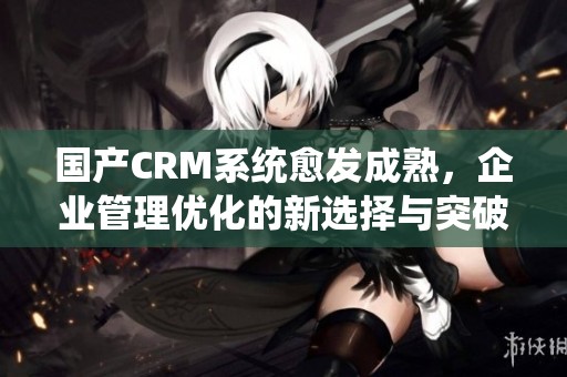 国产CRM系统愈发成熟，企业管理优化的新选择与突破