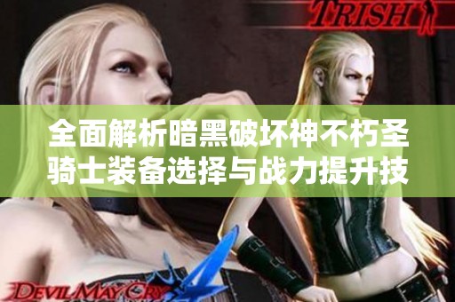 全面解析暗黑破坏神不朽圣骑士装备选择与战力提升技巧