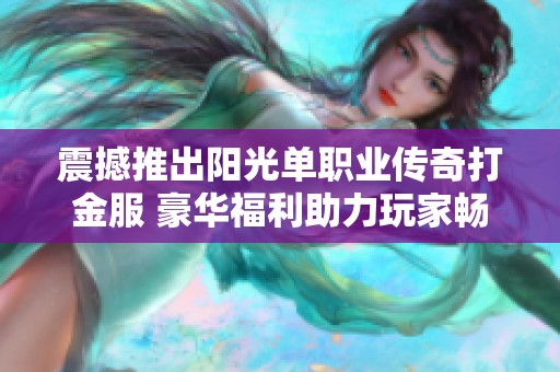 震撼推出阳光单职业传奇打金服 豪华福利助力玩家畅游游戏世界