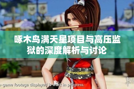 啄木鸟满天星项目与高压监狱的深度解析与讨论