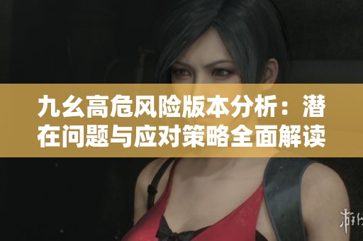 九幺高危风险版本分析：潜在问题与应对策略全面解读