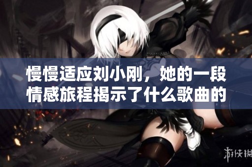 慢慢适应刘小刚，她的一段情感旅程揭示了什么歌曲的内涵