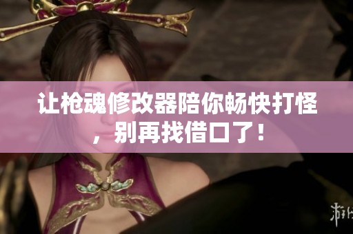 让枪魂修改器陪你畅快打怪，别再找借口了！