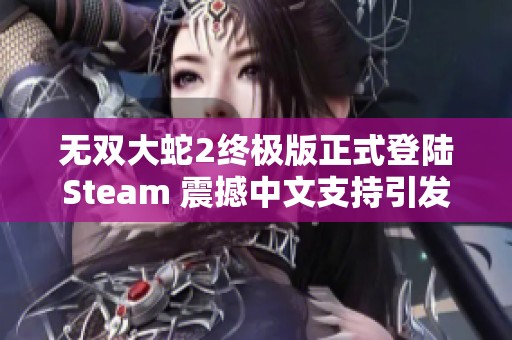 无双大蛇2终极版正式登陆Steam 震撼中文支持引发热潮
