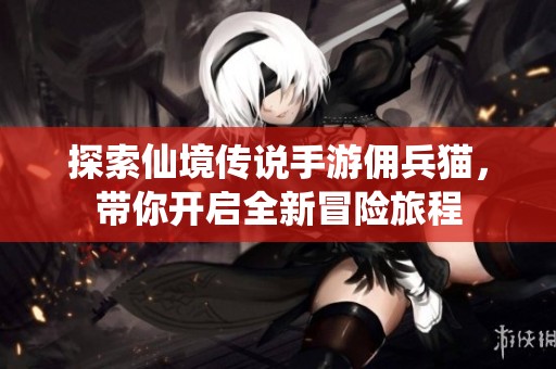 探索仙境传说手游佣兵猫，带你开启全新冒险旅程