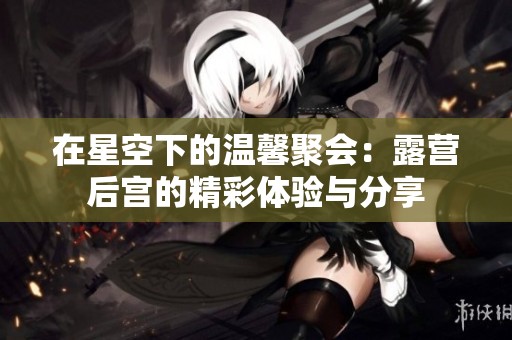 在星空下的温馨聚会：露营后宫的精彩体验与分享