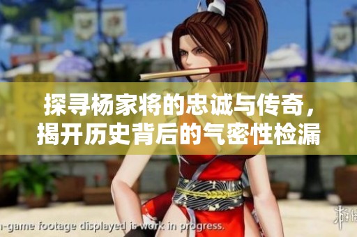 探寻杨家将的忠诚与传奇，揭开历史背后的气密性检漏仪之谜