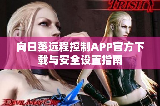 向日葵远程控制APP官方下载与安全设置指南