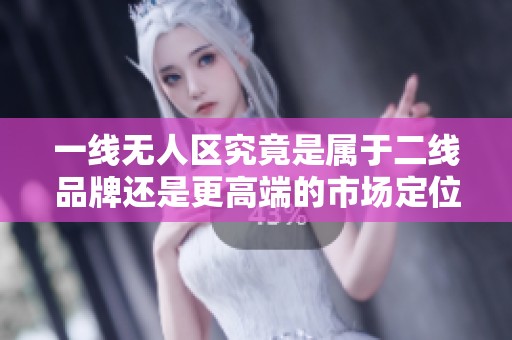 一线无人区究竟是属于二线品牌还是更高端的市场定位？