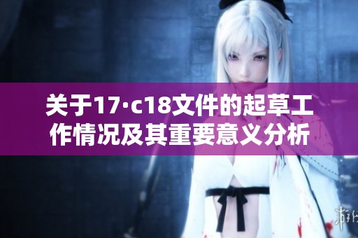 关于17·c18文件的起草工作情况及其重要意义分析