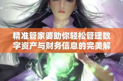 精准管家婆助你轻松管理数字资产与财务信息的完美解决方案
