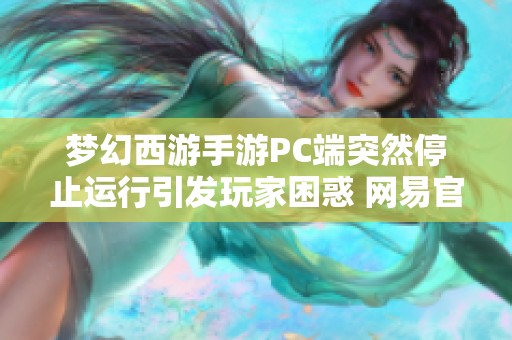 梦幻西游手游PC端突然停止运行引发玩家困惑 网易官方回应详解
