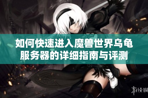 如何快速进入魔兽世界乌龟服务器的详细指南与评测