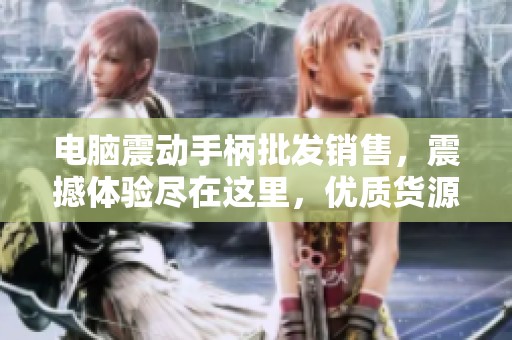 电脑震动手柄批发销售，震撼体验尽在这里，优质货源一站式采购