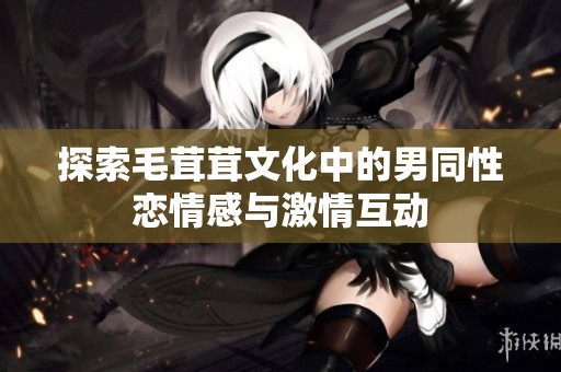 探索毛茸茸文化中的男同性恋情感与激情互动