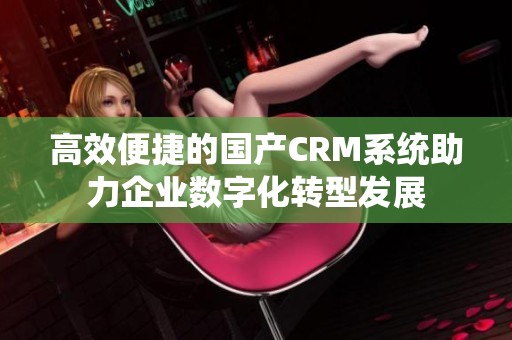 高效便捷的国产CRM系统助力企业数字化转型发展