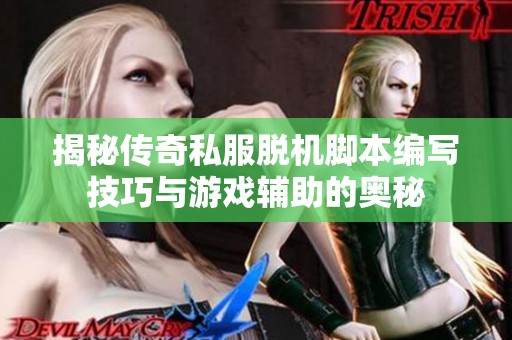 揭秘传奇私服脱机脚本编写技巧与游戏辅助的奥秘