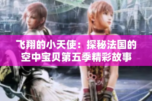 飞翔的小天使：探秘法国的空中宝贝第五季精彩故事