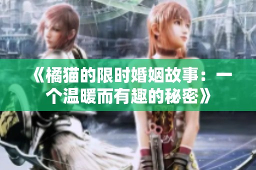 《橘猫的限时婚姻故事：一个温暖而有趣的秘密》