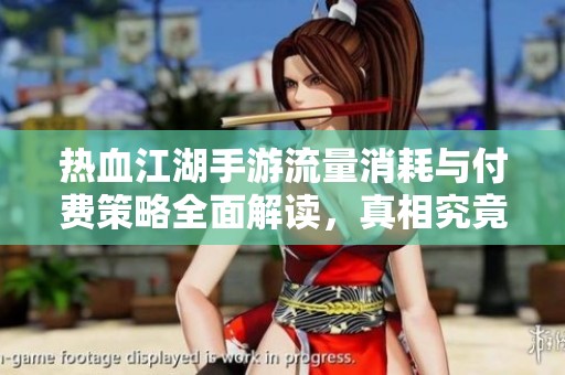 热血江湖手游流量消耗与付费策略全面解读，真相究竟如何