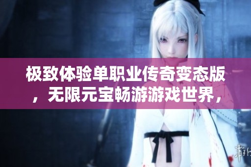 极致体验单职业传奇变态版，无限元宝畅游游戏世界，享受满级满VIP乐趣