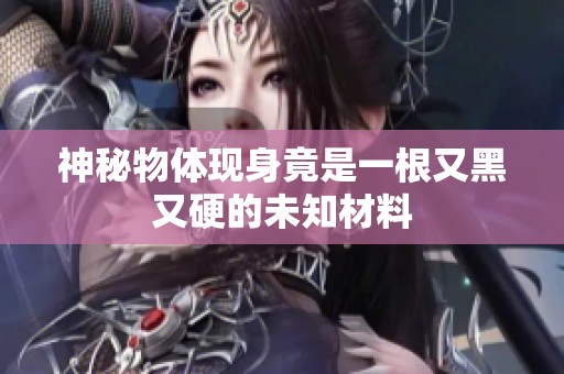 神秘物体现身竟是一根又黑又硬的未知材料