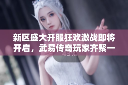 新区盛大开服狂欢激战即将开启，武易传奇玩家齐聚一堂！