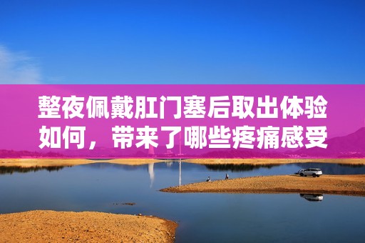 整夜佩戴肛门塞后取出体验如何，带来了哪些疼痛感受