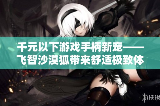 千元以下游戏手柄新宠——飞智沙漠狐带来舒适极致体验