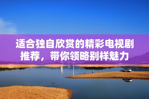 适合独自欣赏的精彩电视剧推荐，带你领略别样魅力