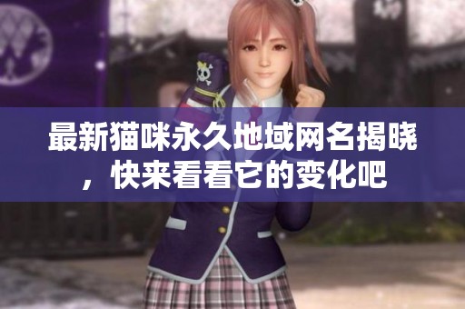 最新猫咪永久地域网名揭晓，快来看看它的变化吧