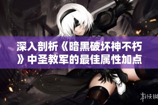 深入剖析《暗黑破坏神不朽》中圣教军的最佳属性加点策略与战力提升