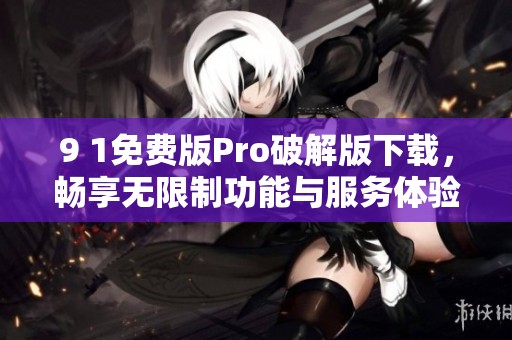 9 1免费版Pro破解版下载，畅享无限制功能与服务体验