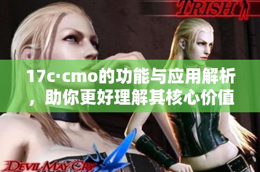 17c·cmo的功能与应用解析，助你更好理解其核心价值