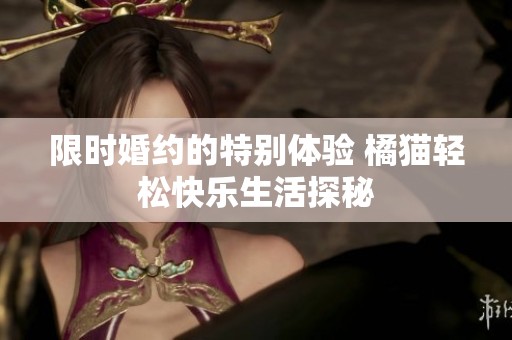 限时婚约的特别体验 橘猫轻松快乐生活探秘