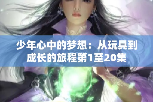 少年心中的梦想：从玩具到成长的旅程第1至20集