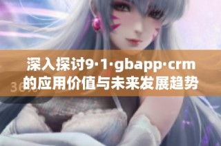 深入探讨9·1·gbapp·crm的应用价值与未来发展趋势