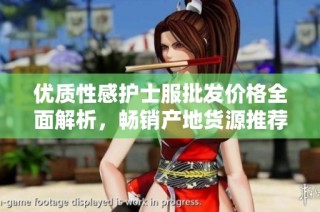 优质性感护士服批发价格全面解析，畅销产地货源推荐
