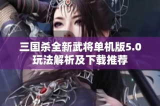 三国杀全新武将单机版5.0玩法解析及下载推荐