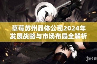 草莓苏州晶体公司2024年发展战略与市场布局全解析