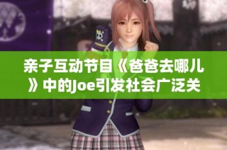 亲子互动节目《爸爸去哪儿》中的Joe引发社会广泛关注与讨论