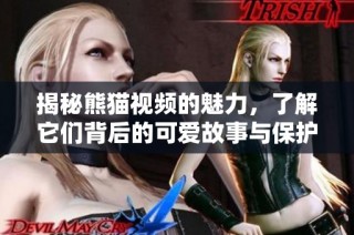 揭秘熊猫视频的魅力，了解它们背后的可爱故事与保护意义