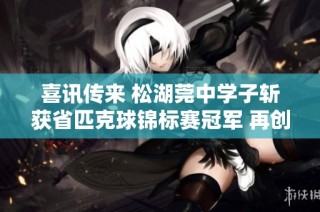 喜讯传来 松湖莞中学子斩获省匹克球锦标赛冠军 再创辉煌成就三冠荣耀