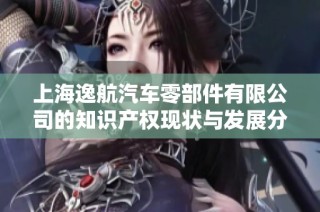 上海逸航汽车零部件有限公司的知识产权现状与发展分析