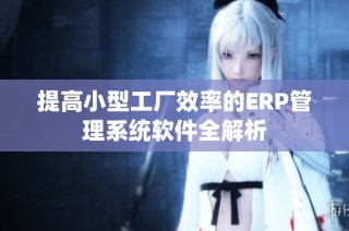 提高小型工厂效率的ERP管理系统软件全解析