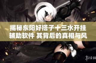 揭秘东阳好搭子十三水开挂辅助软件 其背后的真相与风险解析