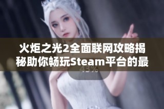 火炬之光2全面联网攻略揭秘助你畅玩Steam平台的最佳体验